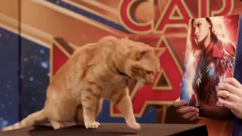 Animated GIF
