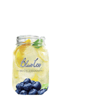 blueicevodkausa huckleberrylemonade blueicehuckleberrylemonade huckandlemonade imyourhuckleberry Sticker