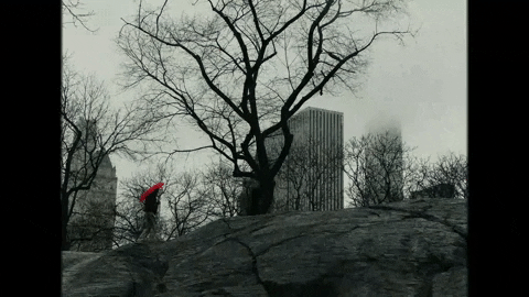 Winter Fall GIF by aldn