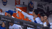 Ny Mets Dancing GIF by New York Mets
