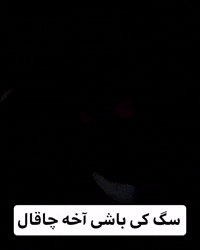 Rap GIF