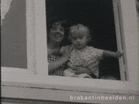 Brabant Hallo GIF by BrabantinBeelden