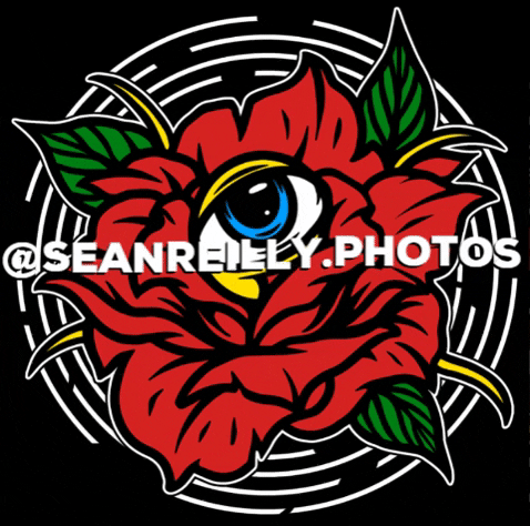 seanreillyphotos giphygifmaker rose eye photo GIF