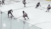 robert morris deal with it GIF by Robert Morris University Athletics