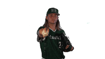 College Baseball Sticker by Hawaii Athletics