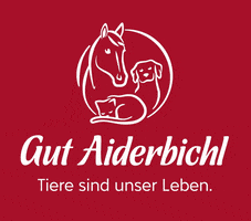 GutAiderbichl gut aiderbichl gutaiderbichl tieresindunserleben gerettetetiere GIF