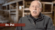 the incredible dr pol GIF by Nat Geo Wild 