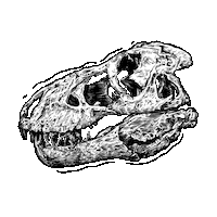 Velozee skull dinosaur roar t rex Sticker