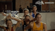 north dakota state bison GIF by NDSU Athletics
