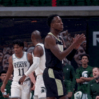 Purdue Basketball Clapping GIF by Purdue Sports