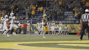 Bison Price GIF by NDSU Athletics
