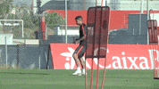pase la liga GIF by Sevilla Fútbol Club