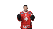 Celebrate Swiss National Team Sticker by Swiss Ice Hockey