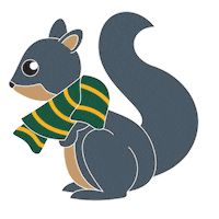 College Of William And Mary Sticker Sticker by William & Mary