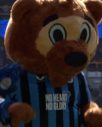 Bibi GIF by Club Brugge