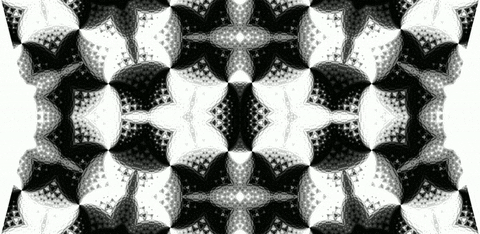 anniemuse giphyupload black and white mask abstract GIF