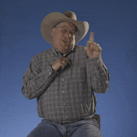 Pointing Cliff GIF by Big Brother