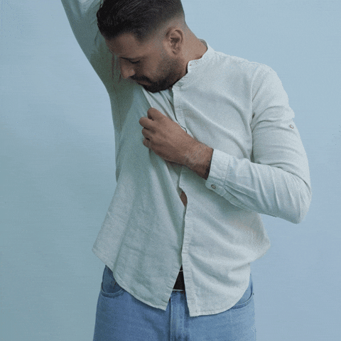 TheRealAdmin giphyupload GIF