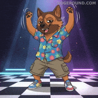 Happy Lets Go GIF by Doge Pound