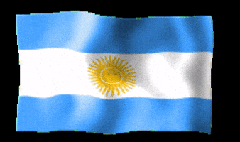 Argentina Bandera GIF by El Tribuno de Jujuy