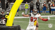 Regular Season Football GIF by NFL