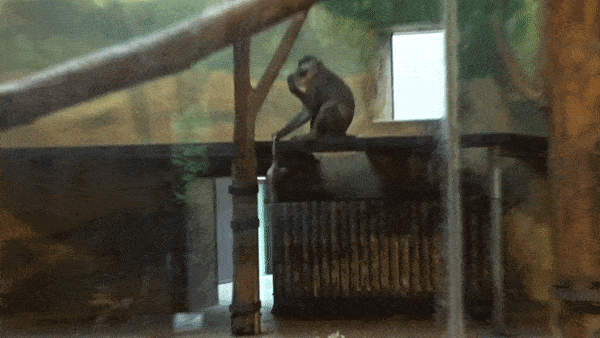 ievgenmarchuk giphyupload GIF