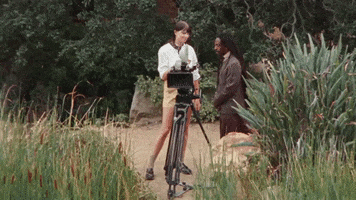 This Is Why GIF by Paramore