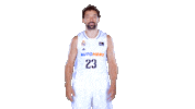 Real Madrid Basketball Sticker by ACB