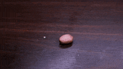 pokemon egg GIF