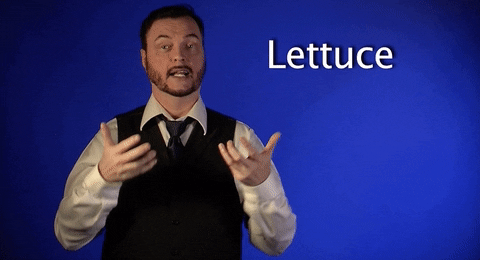 sign language lettuce GIF by Sign with Robert