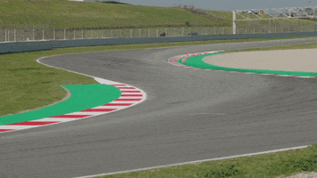 redbullracing 2019 f1 mv driver GIF