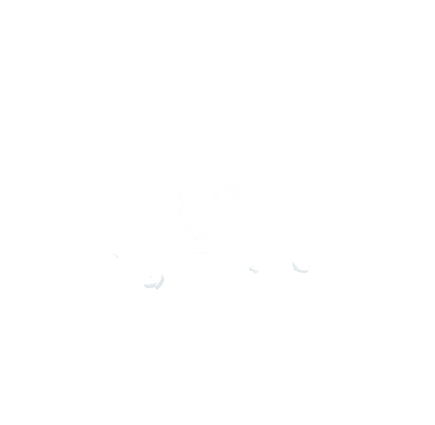 Twitter Follow Sticker by Ideals Interactive Agency