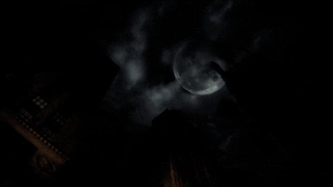 season 5 fox GIF by Gotham