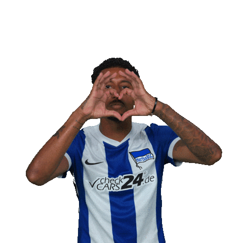 Valentines Day Love Sticker by Hertha BSC