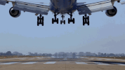 la to vegas comedy GIF by Fox TV