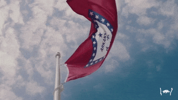 State Flag GIF by Arkansas Razorbacks