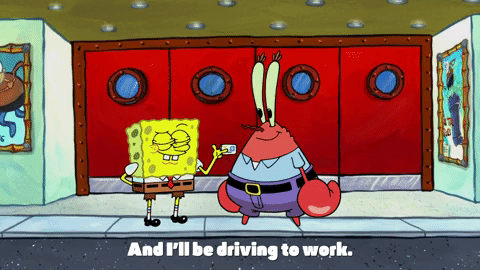 season 9 GIF by SpongeBob SquarePants