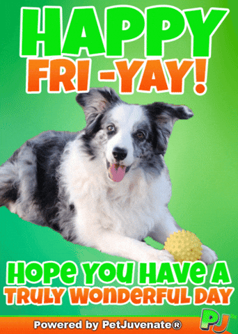 PetJuvenate petjuvenate henlo hooman fren love rescue dogs treatos and woofer for pupper GIF