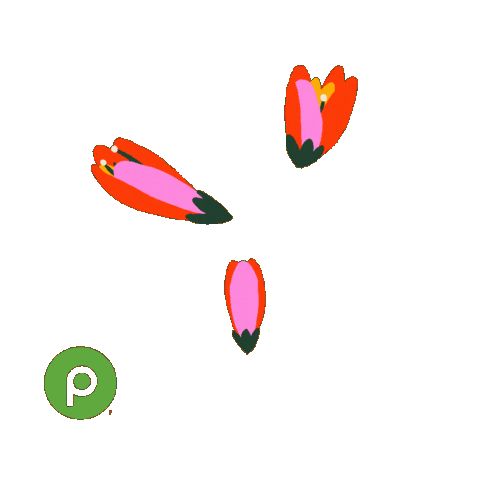 Family Love Sticker by Publix