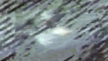 Music Video Loop GIF