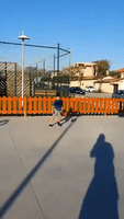 Seven-Year-Old Scores a Basket Soccer Style - Just Like His 'Idol' Ronaldo