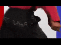 what but what what GIF