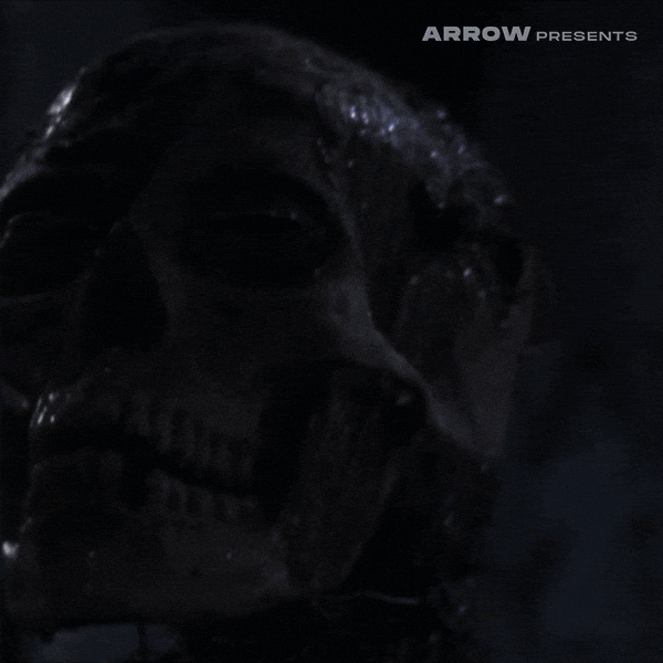 Linnea Quigley Horror GIF by Arrow Video