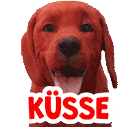 Suss Kusse Sticker by Clifford Movie