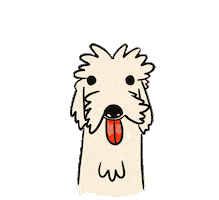 franciscopandozea lamer new dog frijol normal frijol day Sticker