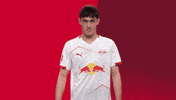 Football Ich Bin Hier GIF by RB Leipzig
