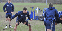 SaleSharks rugby sale sharks salesharks gallagherprem GIF