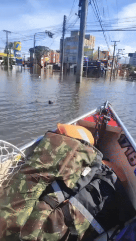 Rescue Workers Save Animals in Flooded Brazil Streets