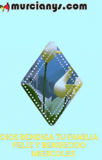Amigos Flores GIF by Murcianys LLC