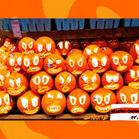 Whole Foods Orange GIF by Nuttz